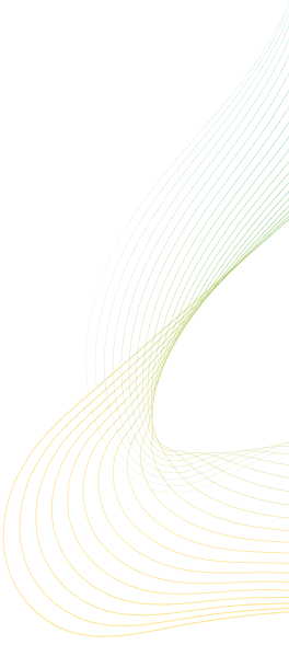 shape